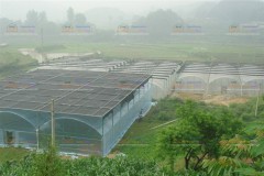 The status of greenhouse slot forming machine in agriculture husbandry